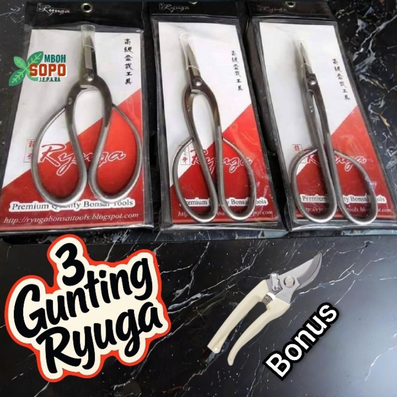 Satu Set Gunting Pruning Bonsai Ryuga Stenlis, Alat Bonsai
