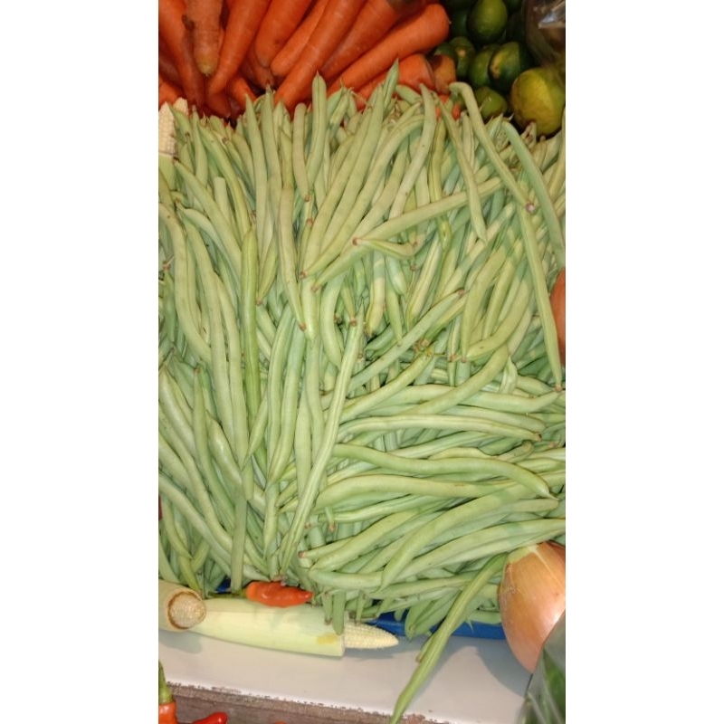 

baby buncis 1kg,