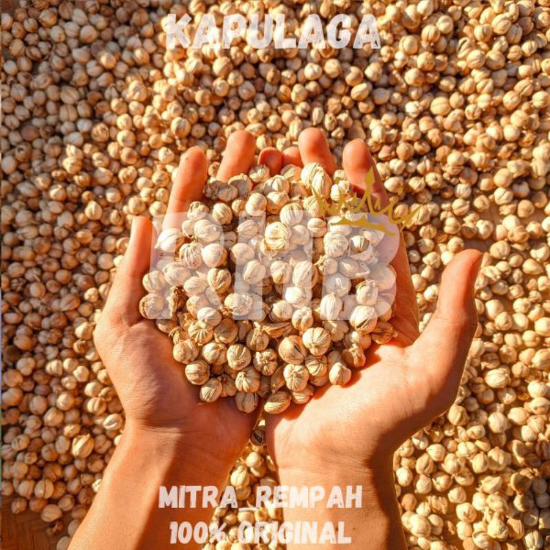 

Kapulaga Utuh Kering bersih 100℅ Alami Original