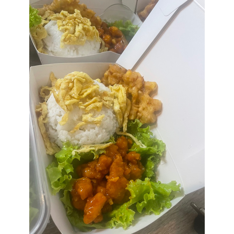 

NasiAYAM