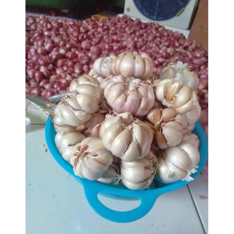 

Bawang putih bersih kering 1kg