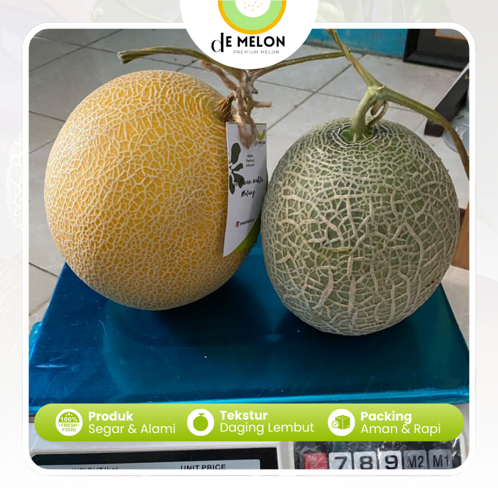 

Paket Bundle Buah Melon Inthanon Fujisawa Manis Segar Premium deMelon
