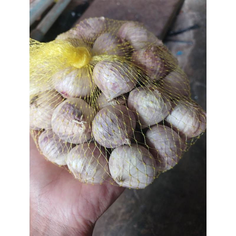 

BAWANG PUTIH TUNGGAL JUMBO 500gram