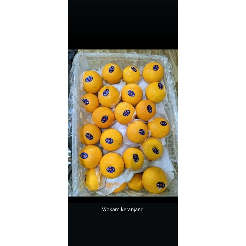 

JERUK (DALAM KERANJANG) SEGAR