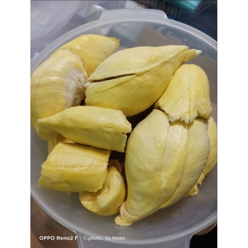 

TERLARIS!! PROMO!! Durian Montong Palembang Termurahh