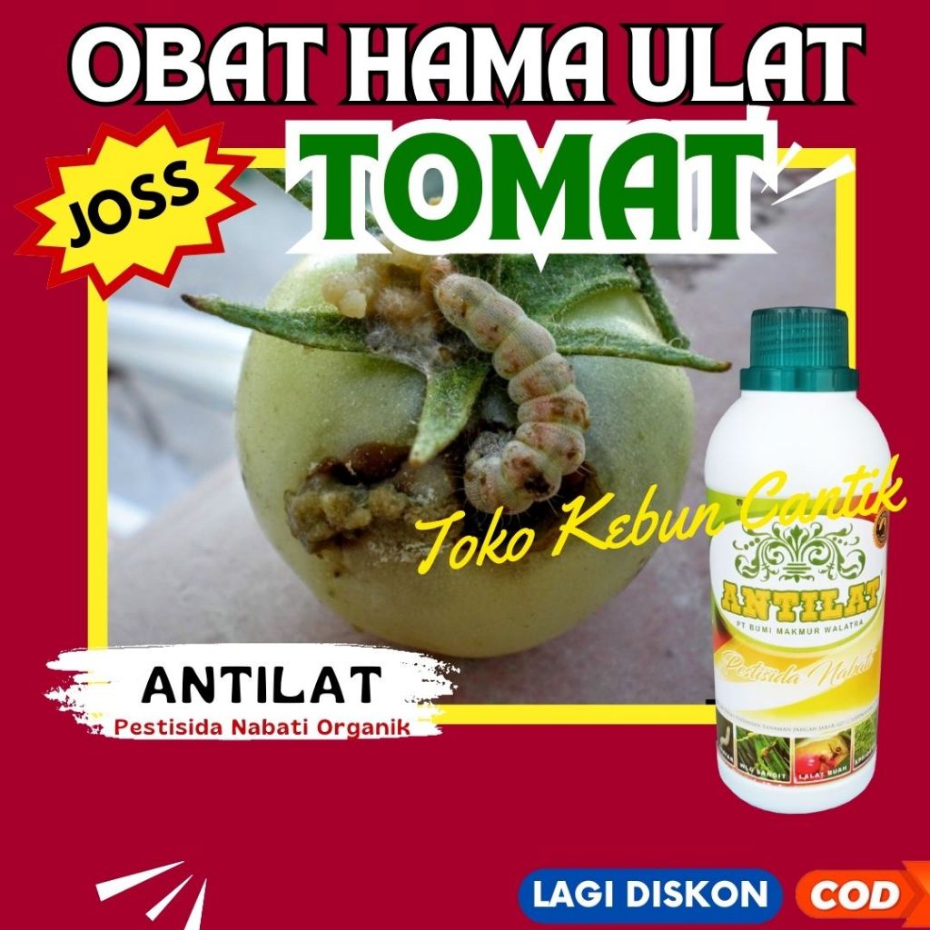 Obat Hama Ulat ANTILAT 500ML – Pestisida Organik untuk Mengatasi Ulat Daun, Ulat Buah, Ulat Tanah pa