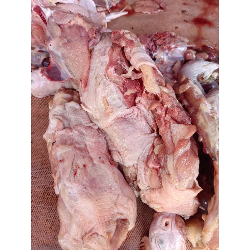 

500 Gram Punggung Ayam