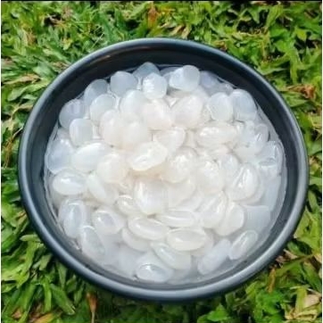 

Kolang Kaling fres 1000 gram. bahan manisan.sirup. kolak