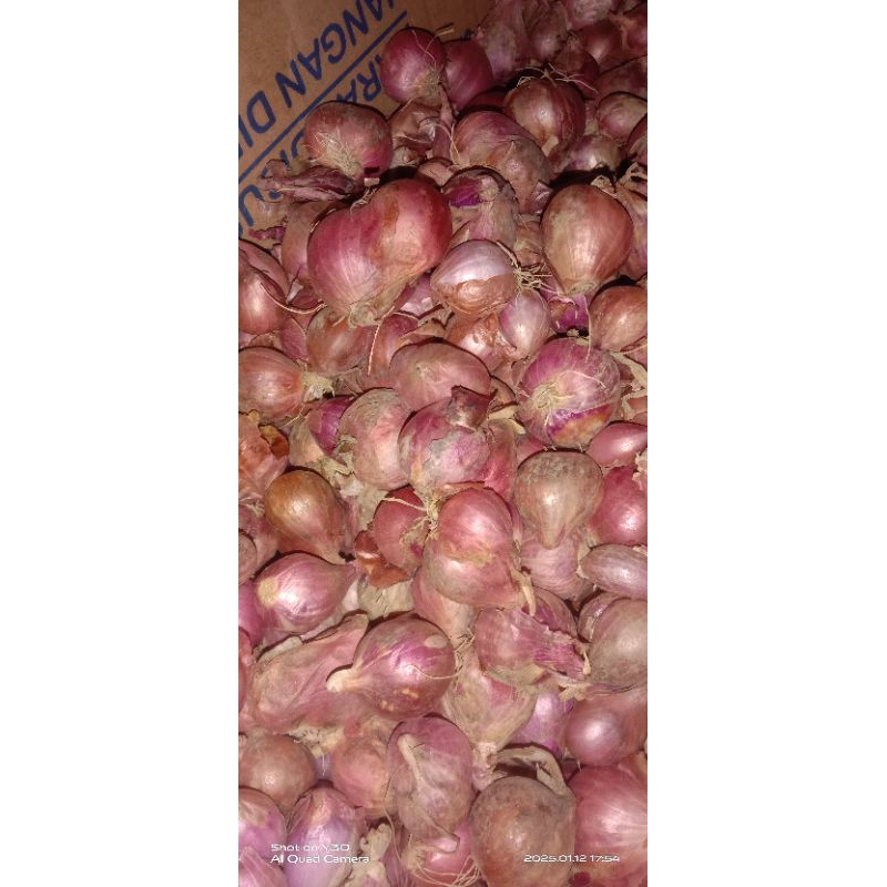 

Bawang Merah Lokal Spik Gede