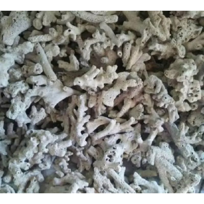 karang jahe 1kg media filter kolam dan akuarium ikan koi murah berkualitas urai