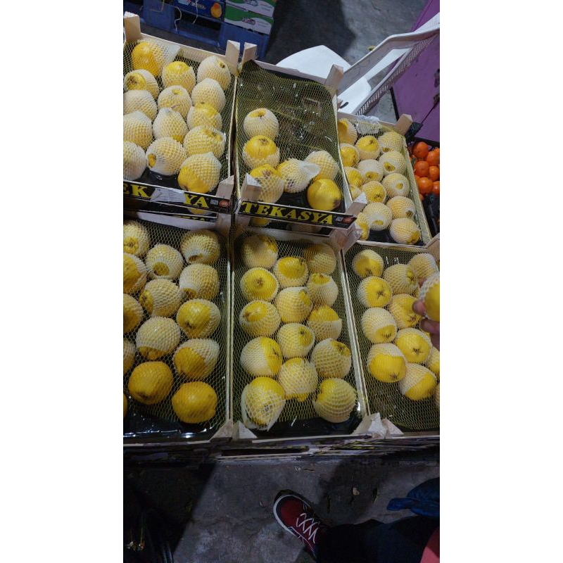 

buah safarjal /buah quince per biji / per 1 pcs. buahnya baru masuk tanggal 24 februari 2025