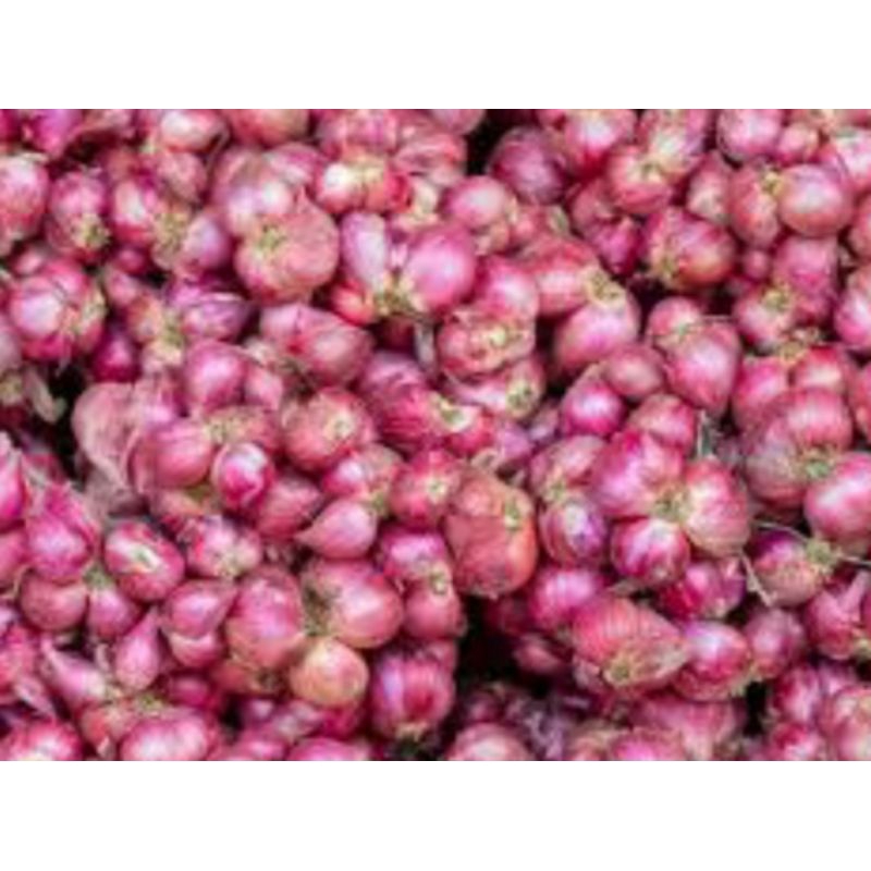 

Bawang Merah Kecil 500 Gram