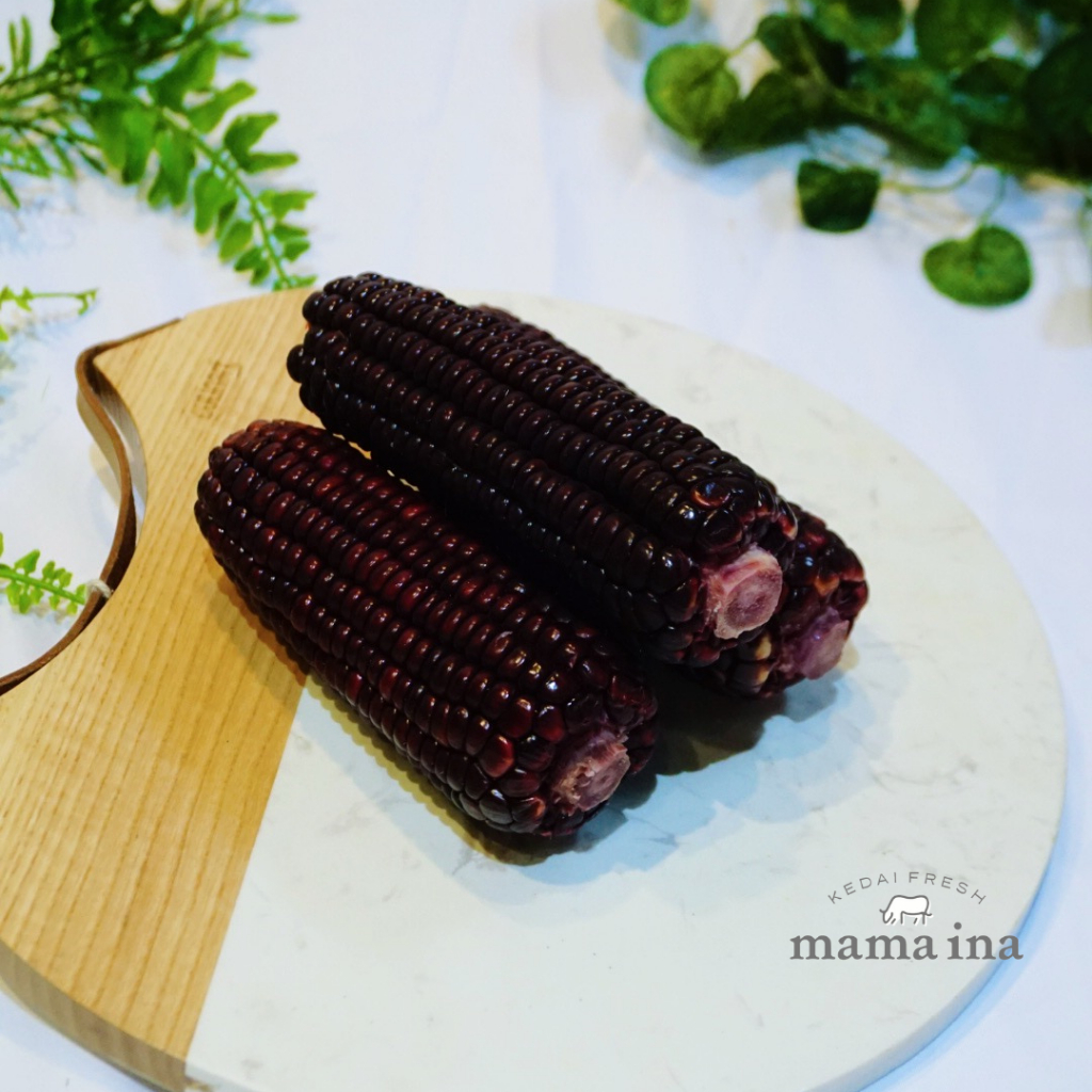 

Jagung Ketan Ungu