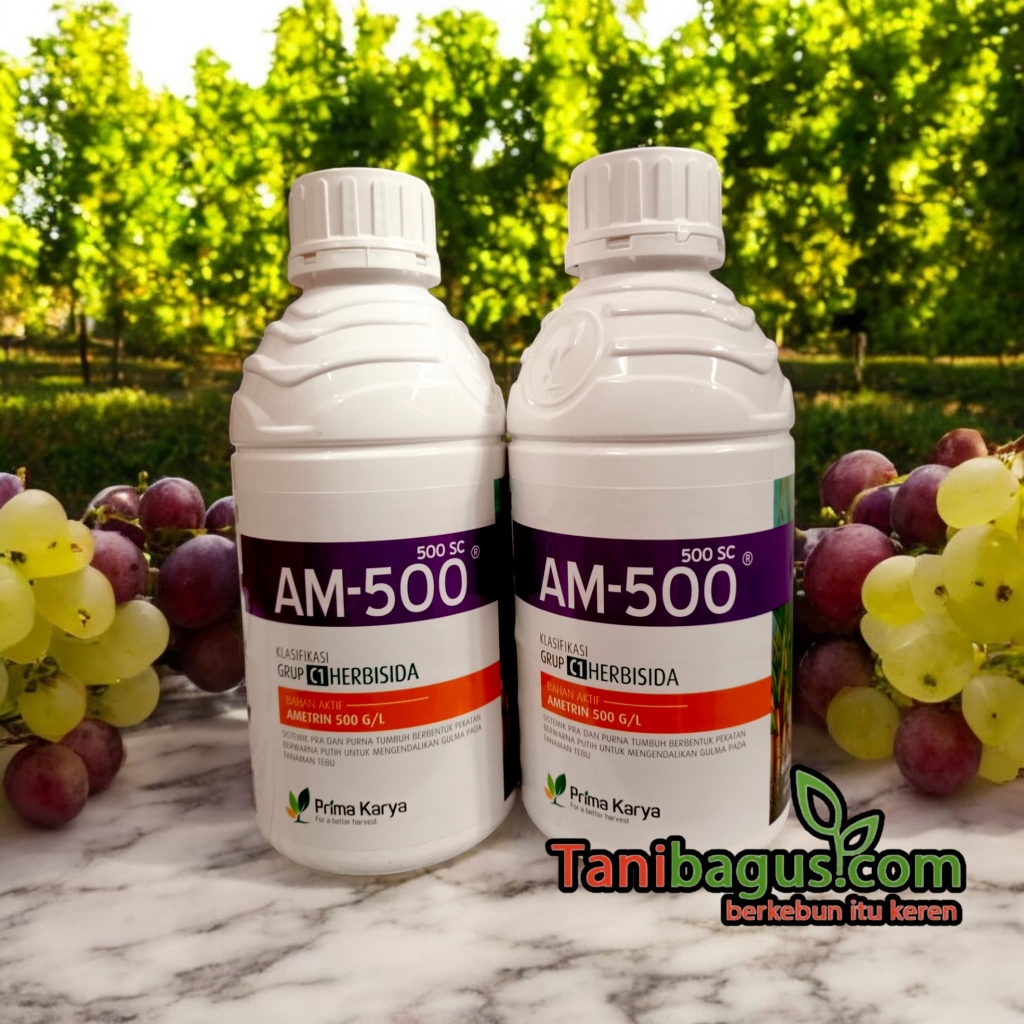 HERBISIDA SISTEMIK AM-500 500  SC - 1LITER