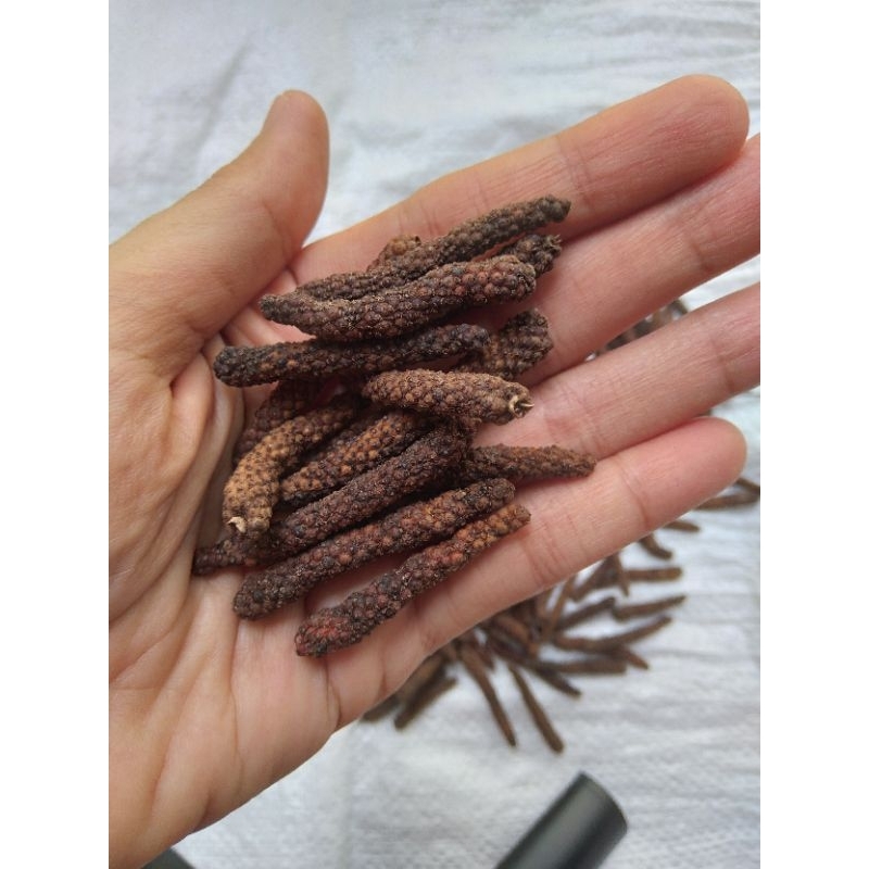 

Cabe Puyang Kering Berkualitas 100 gr Siap Kirim