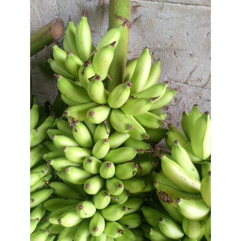 

Pisang Muli/ pisang hajatan