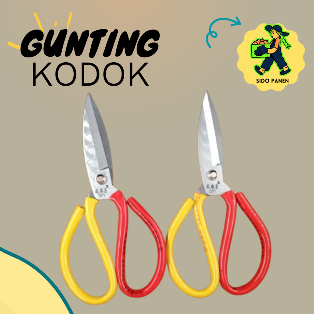 

Gunting Kain Gunting Kulit Gunting Kodok Gunting kuku kualitas sangat bagus