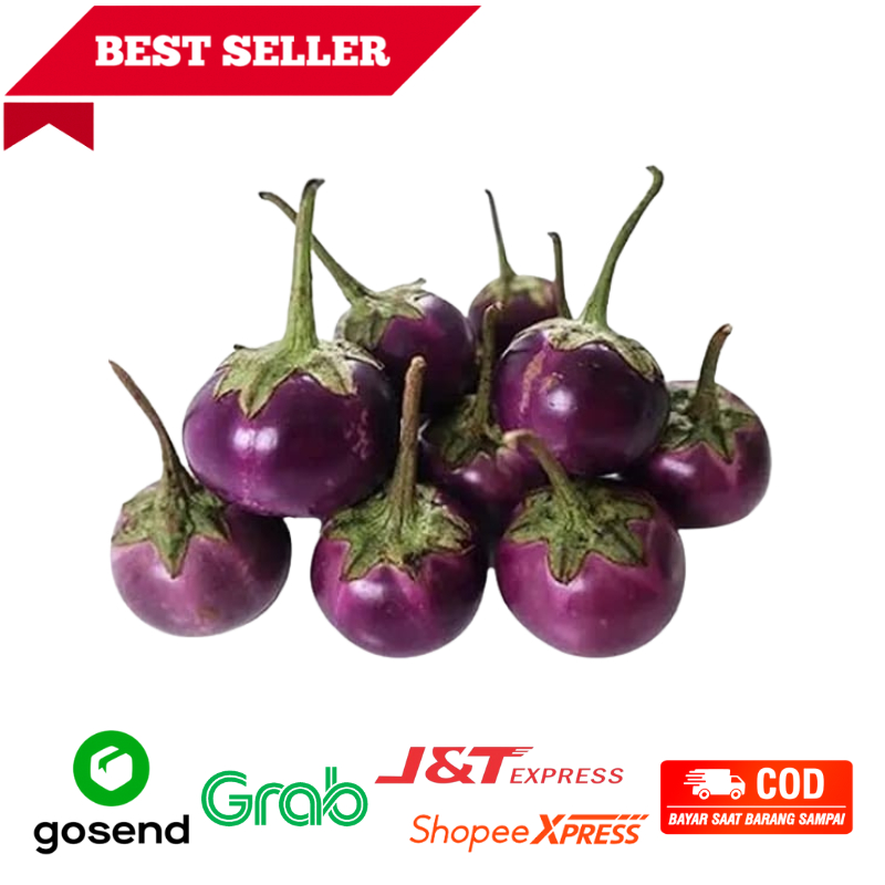 

Terong Ungu Lalaban Fresh 250gr Freshmart Go