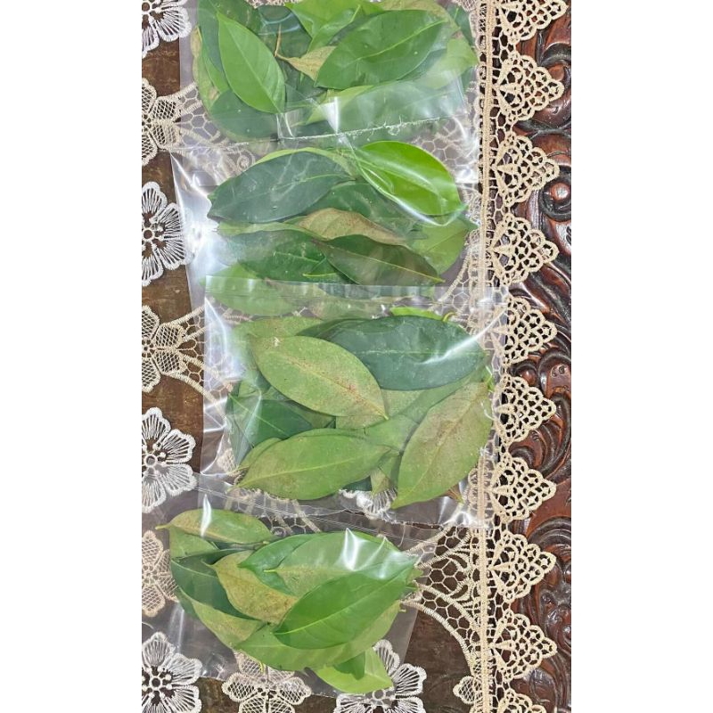 

Daun Salam Segar | Berkualitas | Siap Pakai / 100/lembar