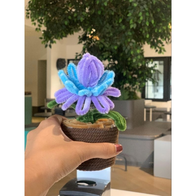 Mini Pot Flower Lucu