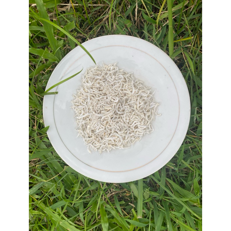 

teri nasi medan (1kg)