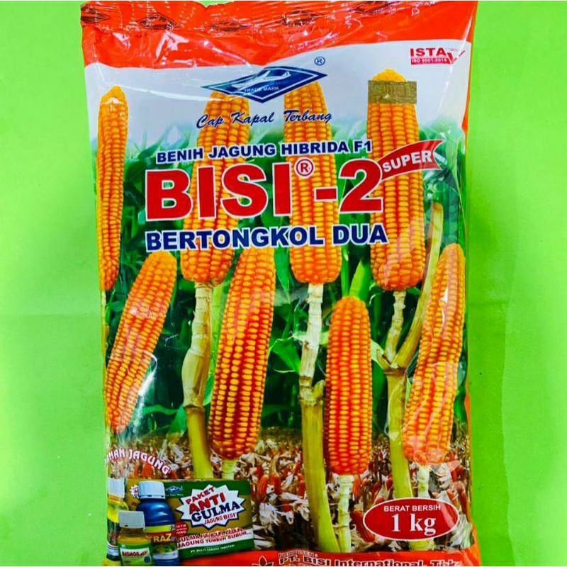 

jagung bisi 2 kualitas premium