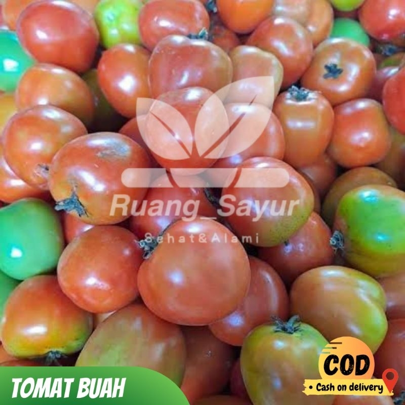 

Tomat Buah Fresh , Tomat Buah 1 Kg , Tomat Buah / Tomat Sayur
