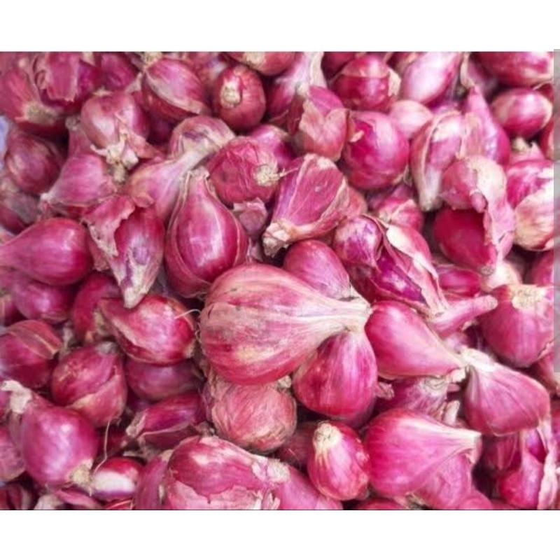 

bawang merah