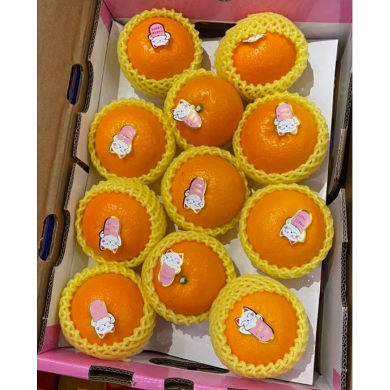 

Fresh jeruk sakura | jeruk sakur super manis box