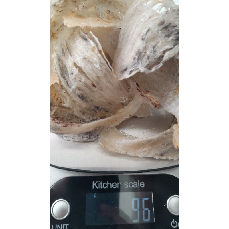 

Sarang Burung Walet 5 Gram