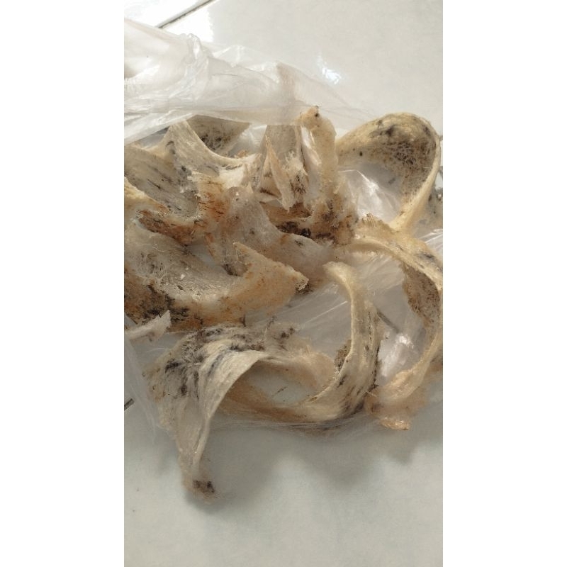 

Sarang burung walet 1 Gram