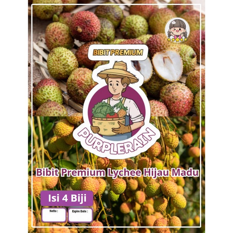 Bibit Premium Leci Madu Hijau Madu |Biji Benih Leci Madu Hijau|Bibit Leci