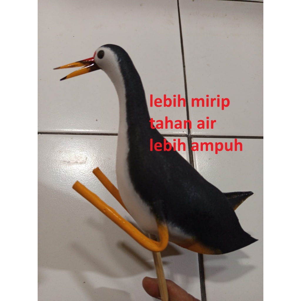 JONTROT RUAK PATUNG BURUNG KAREO RUAK RUAK ALAT PANCING DERBOMBOK MIRIP ASLI LEBIH AMPUH