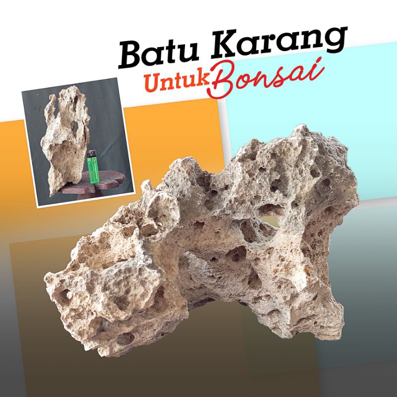 Batu Karang Bonsai