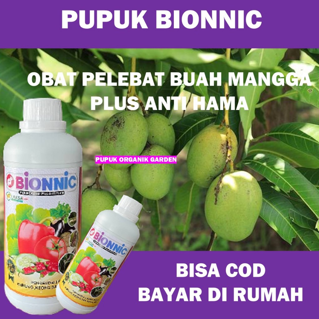 (PUPUK MANGGA) BIONNIC 500 ML Obat Pelebat Buah Mangga & Penyubur Akar, Daun, Batang Mangga Alami - 