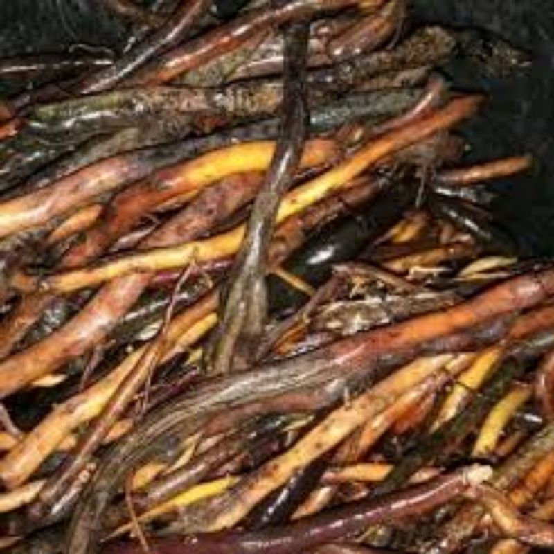 

akar pohon aren asli 500g