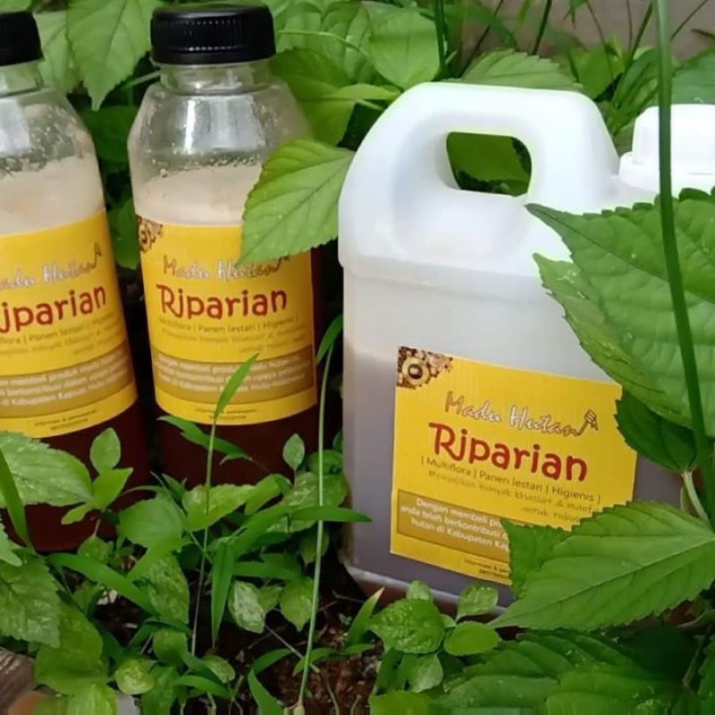 

Madu Hutan Asli Kalimantan Barat Kapuas Hulu Nanga Lauk Raw Material Honey Higienis Multiflora Hasil Panen Petani Lokal