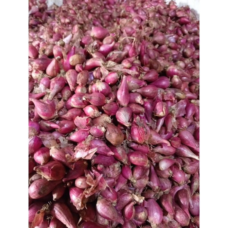 

bawang merah ukuranl campur 1 kg