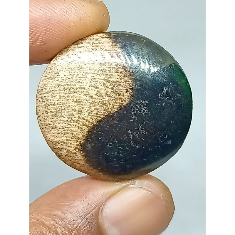 Batu Posil Kelor Yin Yang , Asli Natural