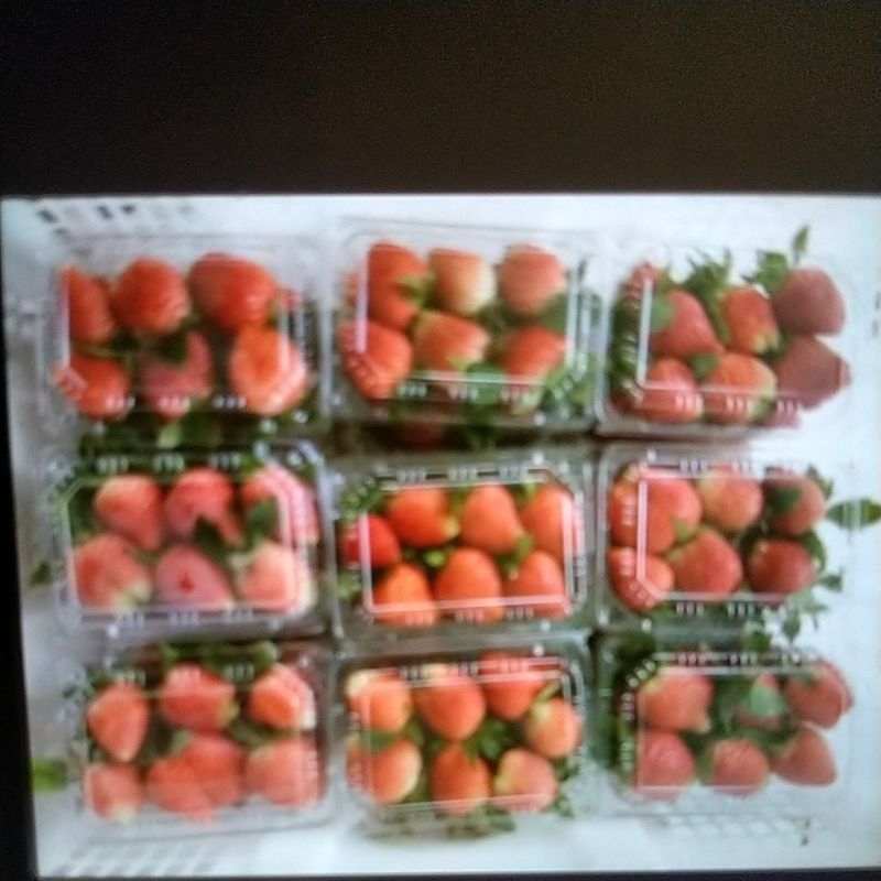 

Strawberry fresh 250 gr