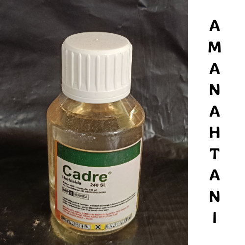 CADRE 240SL - Herbisida selektif mengendalikan gulma pada tanaman kacang, kedelai, cabe