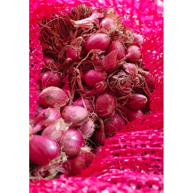 

Bawang Merah Lokal Khas Enrekang