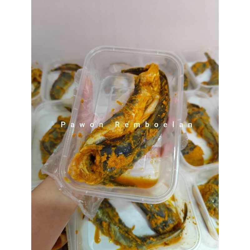 

Ikan Lele bumbu kuning lauk praktis tinggal goreng tanpa kepala [ Pawon Remboelan ]