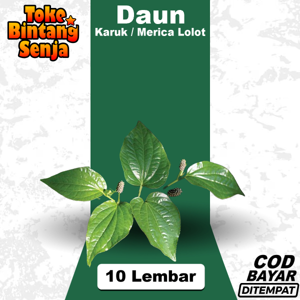 

Daun Karuk Merica Lolot 10 Lembar Obat Herbal Sirih Tanah