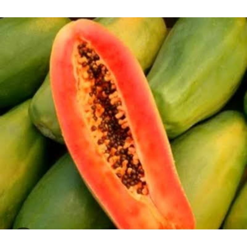 

pepaya thailand berat -+ 1 s/d 1,5kg