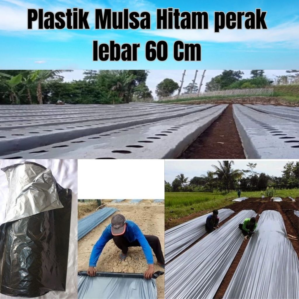 Plastik Mulsa Hitam Perak Lebar 60 cm Tebal 035 mm | Plastik Mulsa Plastik Pertanian | Plastik Mulsa