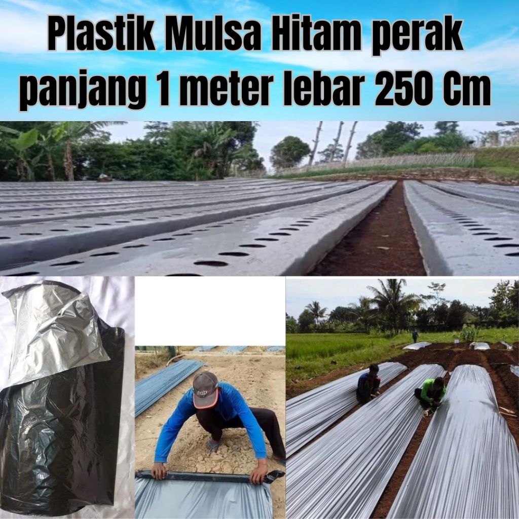 Plastik Mulsa Hitam Perak - 1 Meter - Lebar 250 cm | Mulsa hitam perak lebar 80 cm / 100 cm / 120 cm