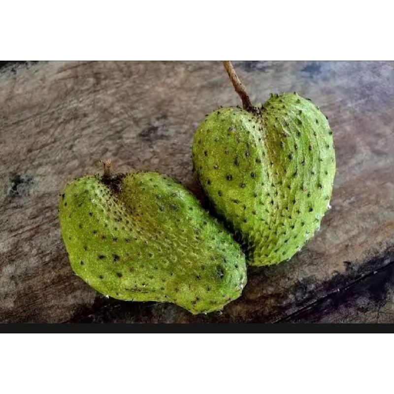 

BUAH SIRSAK SEGAR 1 KG SIAP KIRIM