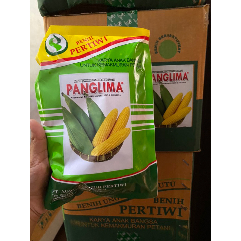 Benih Jagung Manis PANGLIMA Hibrida