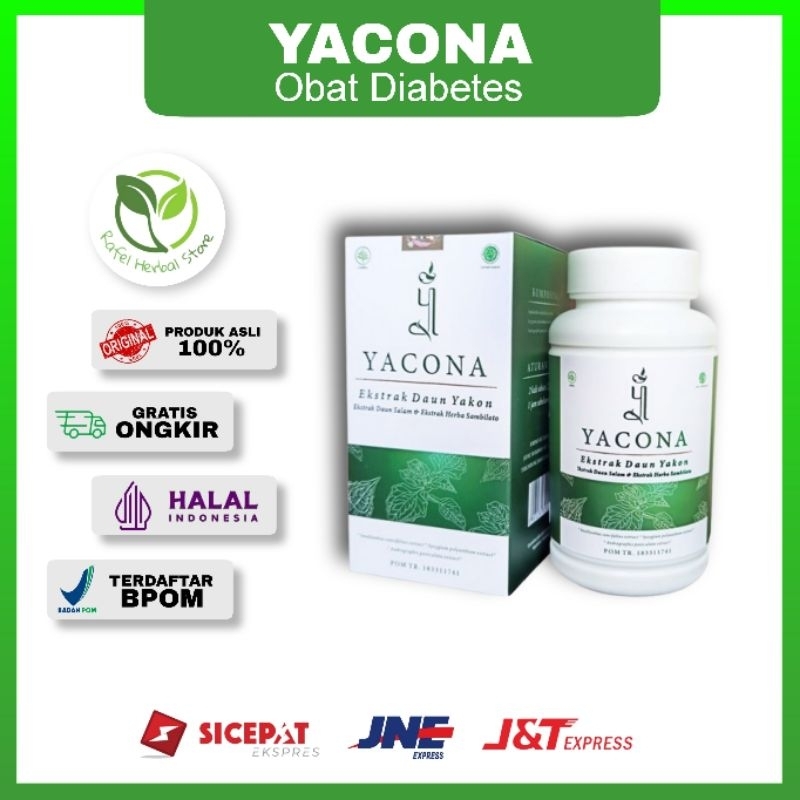 Yacona Asli Original Obat Diabetes